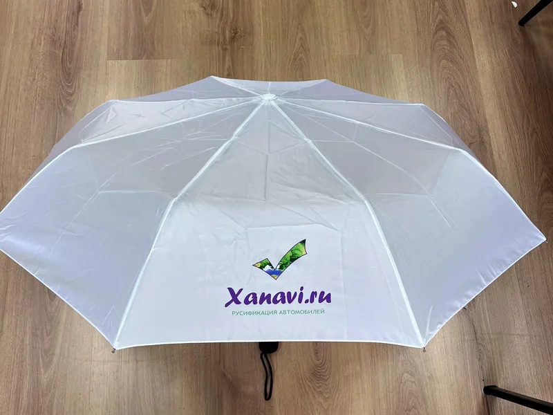 Xanavi.ru — DTF-печать на куполе