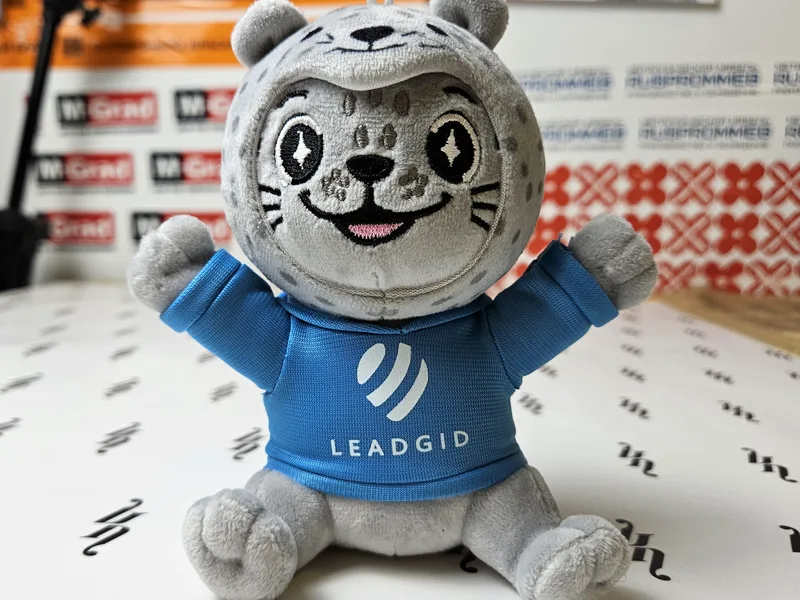 Leadgid — нерпа по эскизу: пятна на капюшоне — сублимация, лицо — вышивка, логотип — шелкография
