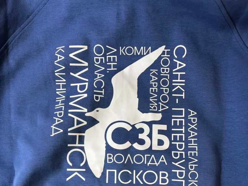 СЗБ — шелкография на свитшоте