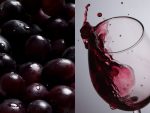 Бокал для вина «Энотека» — изображение 5