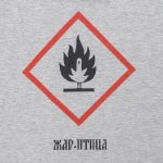 Футболка «Жар-птица», серый меланж — изображение 3
