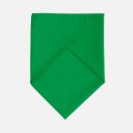 Шейный платок Bandana, ярко-зеленый — изображение 2