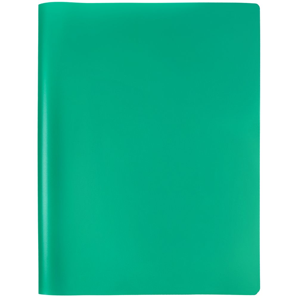 14142.49_1_1000x1000 Папка с прижимом Expert, бирюзовая — изображение 1