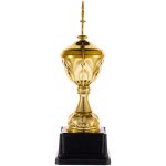 Кубок Top Star, золотистый — изображение 2
