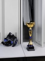 Кубок Awardee, средний, синий — изображение 5