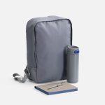 Набор Flexpen Travel, серый с синим