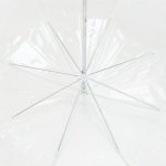 Прозрачный зонт-трость Clear — изображение 3