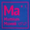 Чехол на подушку «Мамий» с логотипом СПб - фото № 5