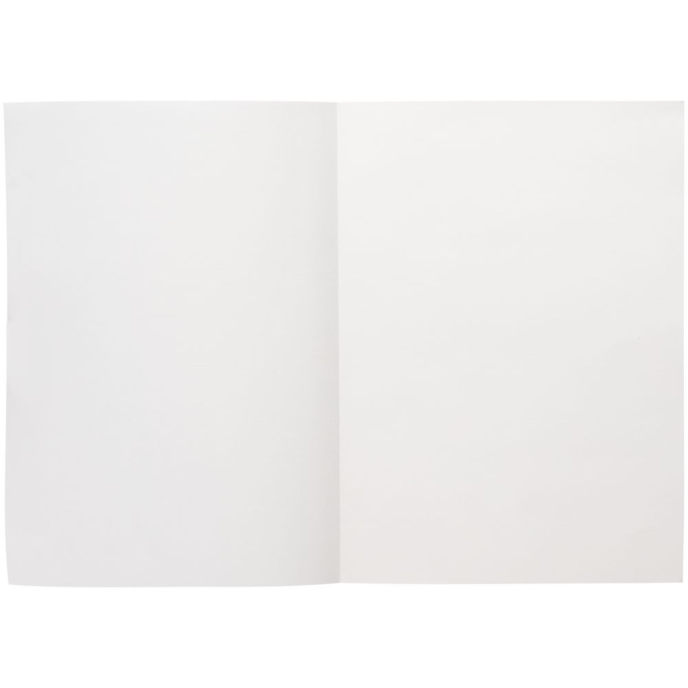 Ежедневник Flat Light, недатированный, иссиня-черный с логотипом СПб - фото № 4