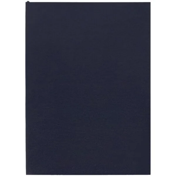 Ежедневник Flat Light, недатированный, иссиня-черный с логотипом СПб - фото № 1