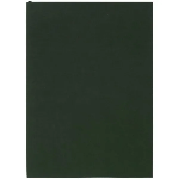 Ежедневник Flat Light, недатированный, зеленый с логотипом СПб - фото № 1