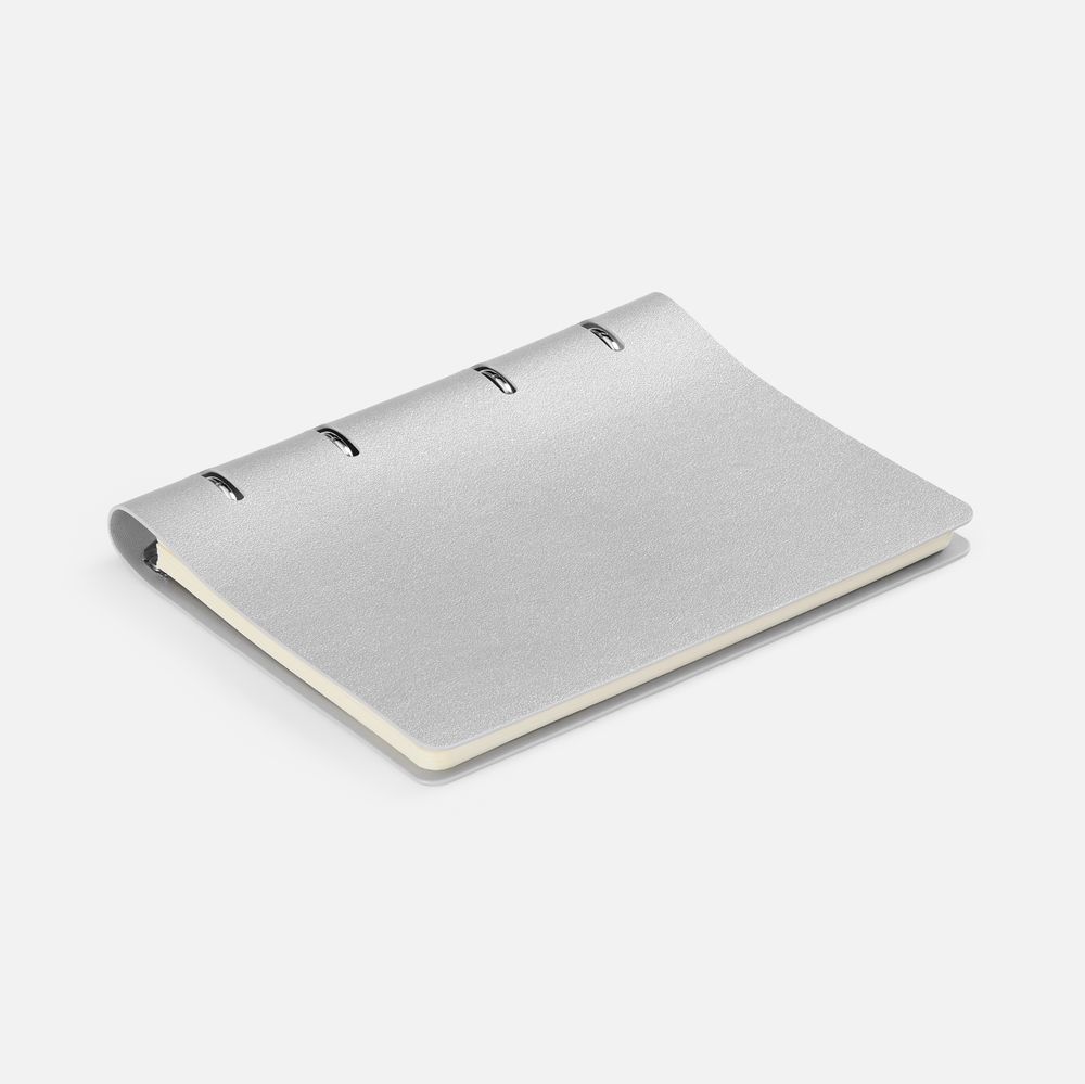 Ежедневник Ringo, недатированный, серебристый с логотипом СПб - фото № 6