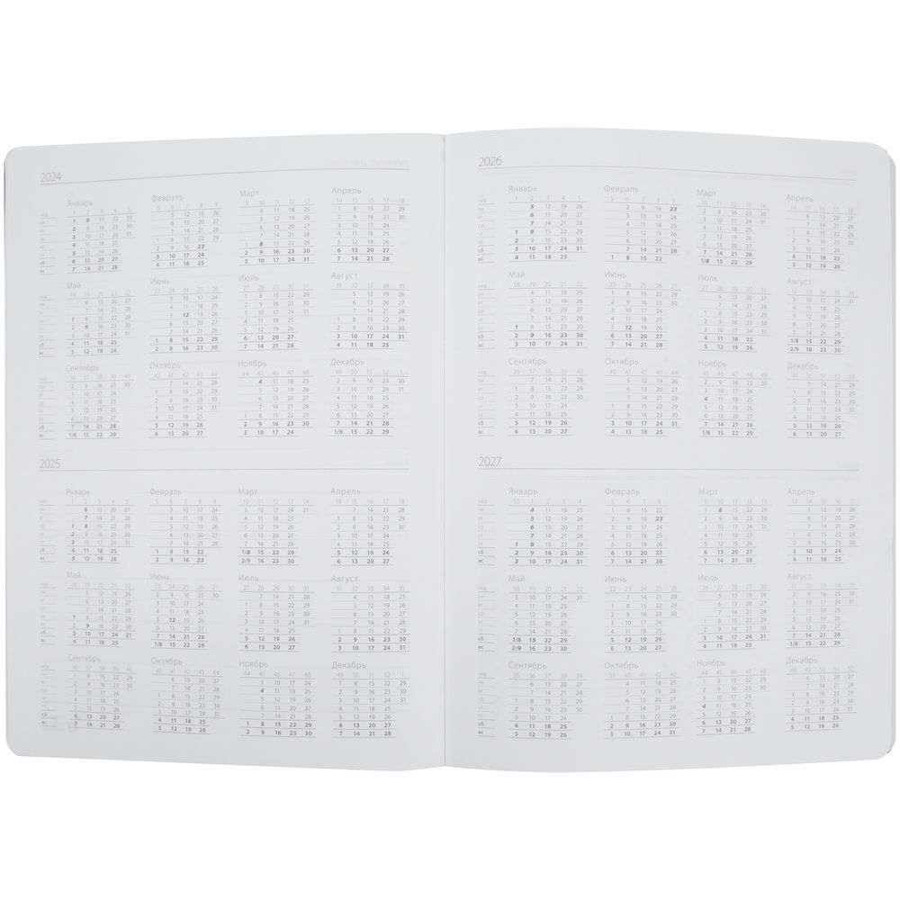 Еженедельник Lucky, недатированный, серый с логотипом СПб - фото № 5