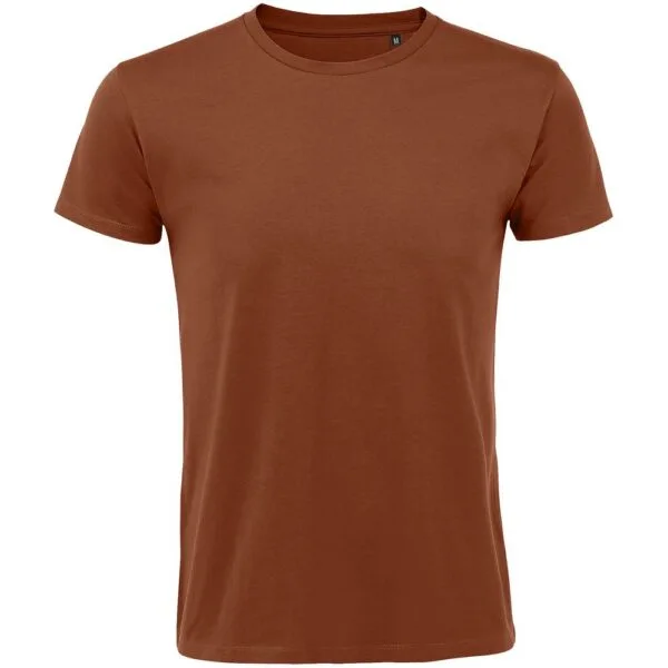 Футболка мужская Regent Fit 150, коричневая (терракотовая) с логотипом СПб - фото № 1