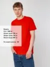 Футболка унисекс T-Bolka 160, красная с логотипом СПб - фото № 4