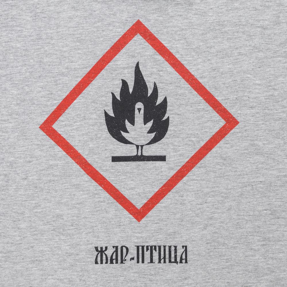 Футболка «Жар-птица», серый меланж с логотипом СПб - фото № 3