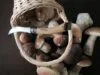 Нож грибника Opinel No 8, бук с логотипом СПб - фото № 5