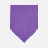 Шейный платок Bandana, темно-фиолетовый с логотипом СПб - фото № 2