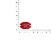 Шильдик металлический Alfa Oval, красный с логотипом СПб - фото № 2