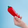 Сквиши-антистресс «Перец» с логотипом СПб - фото № 2