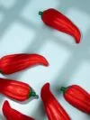 Сквиши-антистресс «Перец» с логотипом СПб - фото № 5