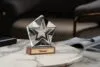 Стела Star Wood, в подарочной коробке с логотипом СПб - фото № 3