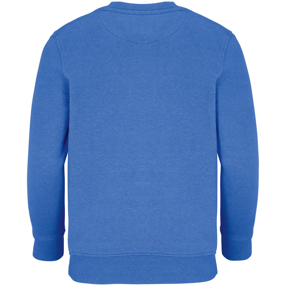 Свитшот детский Columbia Kids, ярко-синий (royal) с логотипом СПб - фото № 3