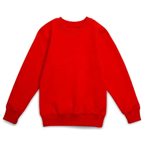 Свитшот детский Toima Kids 2.0, красный с логотипом СПб - фото № 1