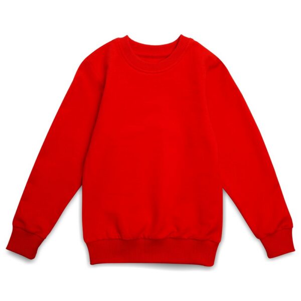 Свитшот детский Toima Kids, красный с логотипом СПб - фото № 1
