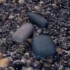 Внешний аккумулятор Pebble 7800 мАч, серо-синий с логотипом СПб - фото № 4