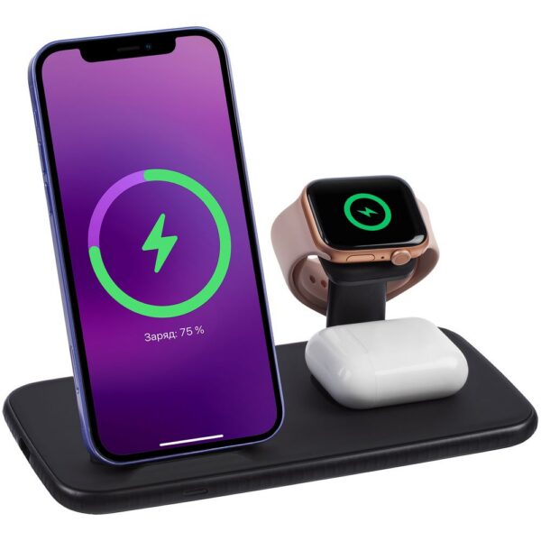 Зарядная станция Smart Nest, черная с логотипом СПб - фото № 1