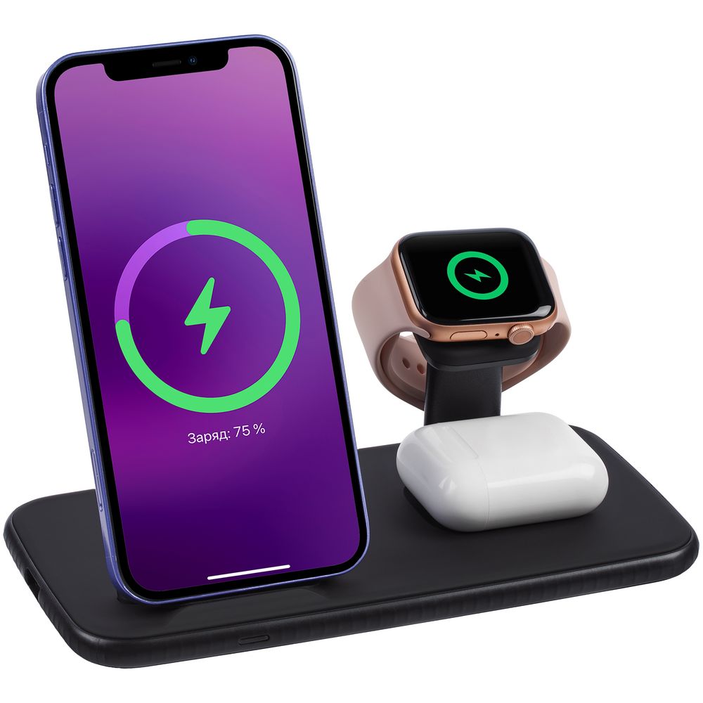 Зарядная станция Smart Nest, черная с логотипом СПб - фото № 1