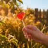 Карамель леденцовая «Сердце» с логотипом СПб - фото № 3