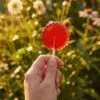 Карамель леденцовая «Круг», красная с логотипом СПб - фото № 3