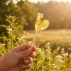 Карамель леденцовая «Петушок» с логотипом СПб - фото № 3