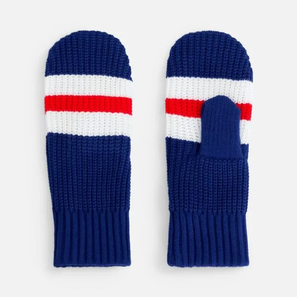 Варежки Winwear, темно-синие (кобальт) с логотипом СПб - фото № 1
