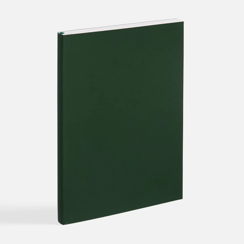 Ежедневник Flat Light ver.2, недатированный, зеленый с логотипом СПб - фото № 2