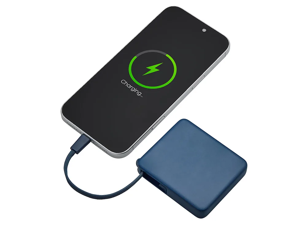 Внешний аккумулятор со встроенным кабелем USB-C «Дэнси», 5000 мАч, темно-синий с логотипом СПб - фото № 3