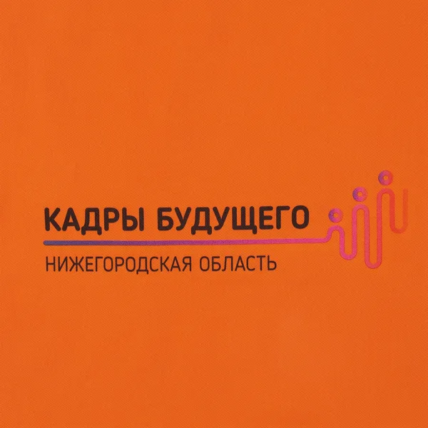 DTG1: Полноцвет водными чернилами