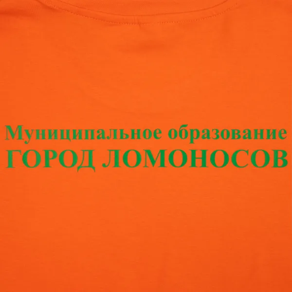 D1: Шелкография с трансфером
