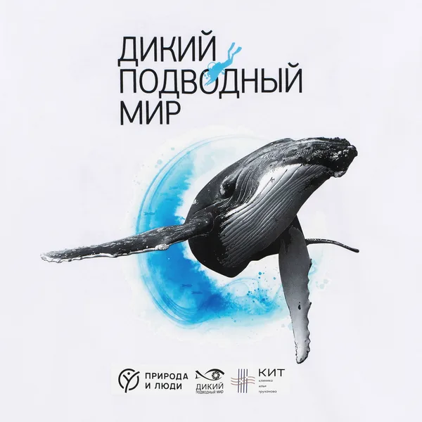DTF2: Полноцвет с трансфером