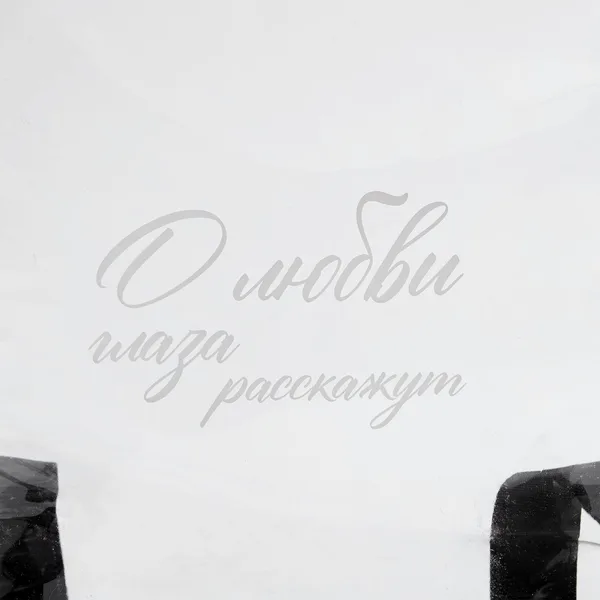 SH1: Шелкография (1 цвет)