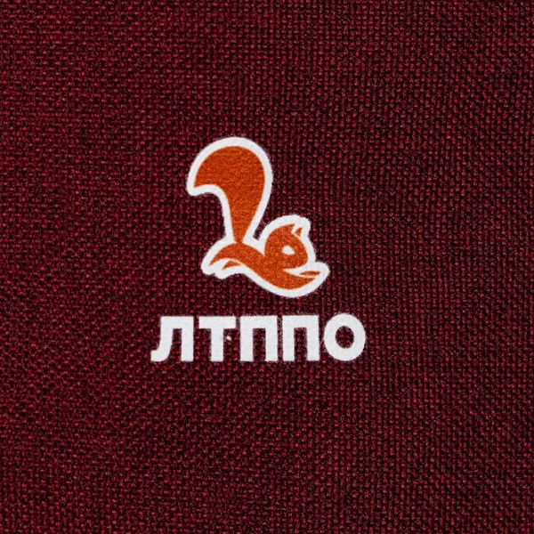 DTF2: Печать DTF
