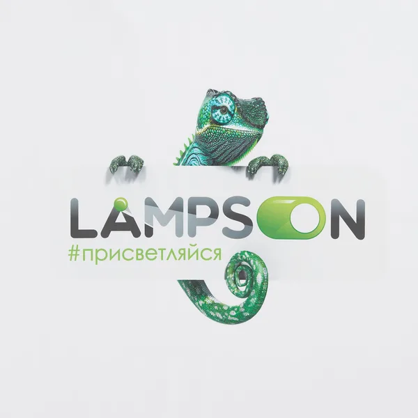 DTF3: Полноцвет с трансфером