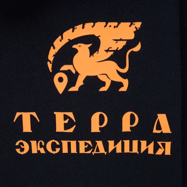 D3: Шелкография с трансфером