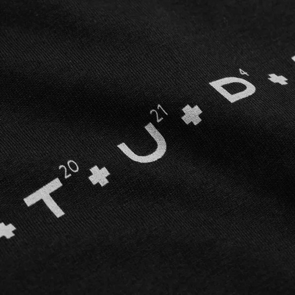 DTG2: Полноцвет водными чернилами