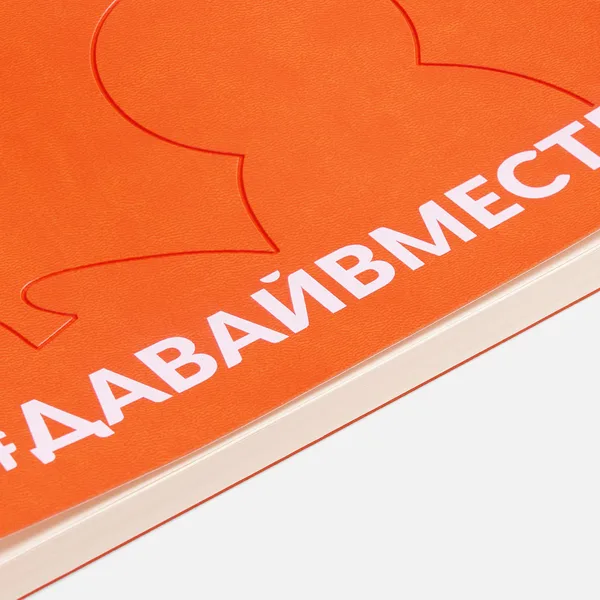 T1: Тиснение бесцветное