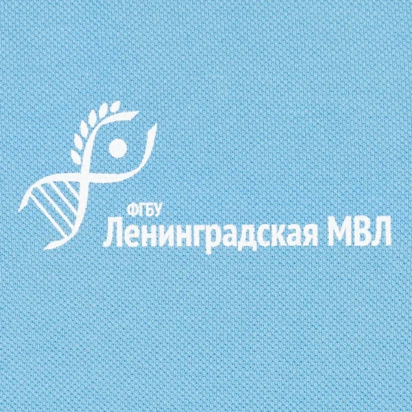 D2: Шелкография с трансфером