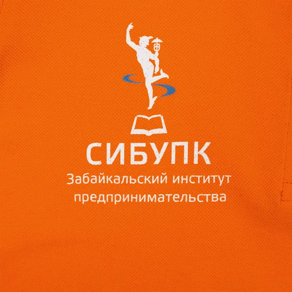 DTG2: Полноцвет водными чернилами