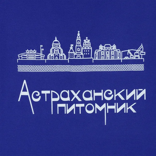 DTG2: Полноцвет водными чернилами